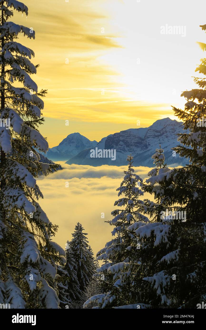 Coucher de soleil dans les Alpes, pics de montagne avec nuage dans la vallée. Banque D'Images