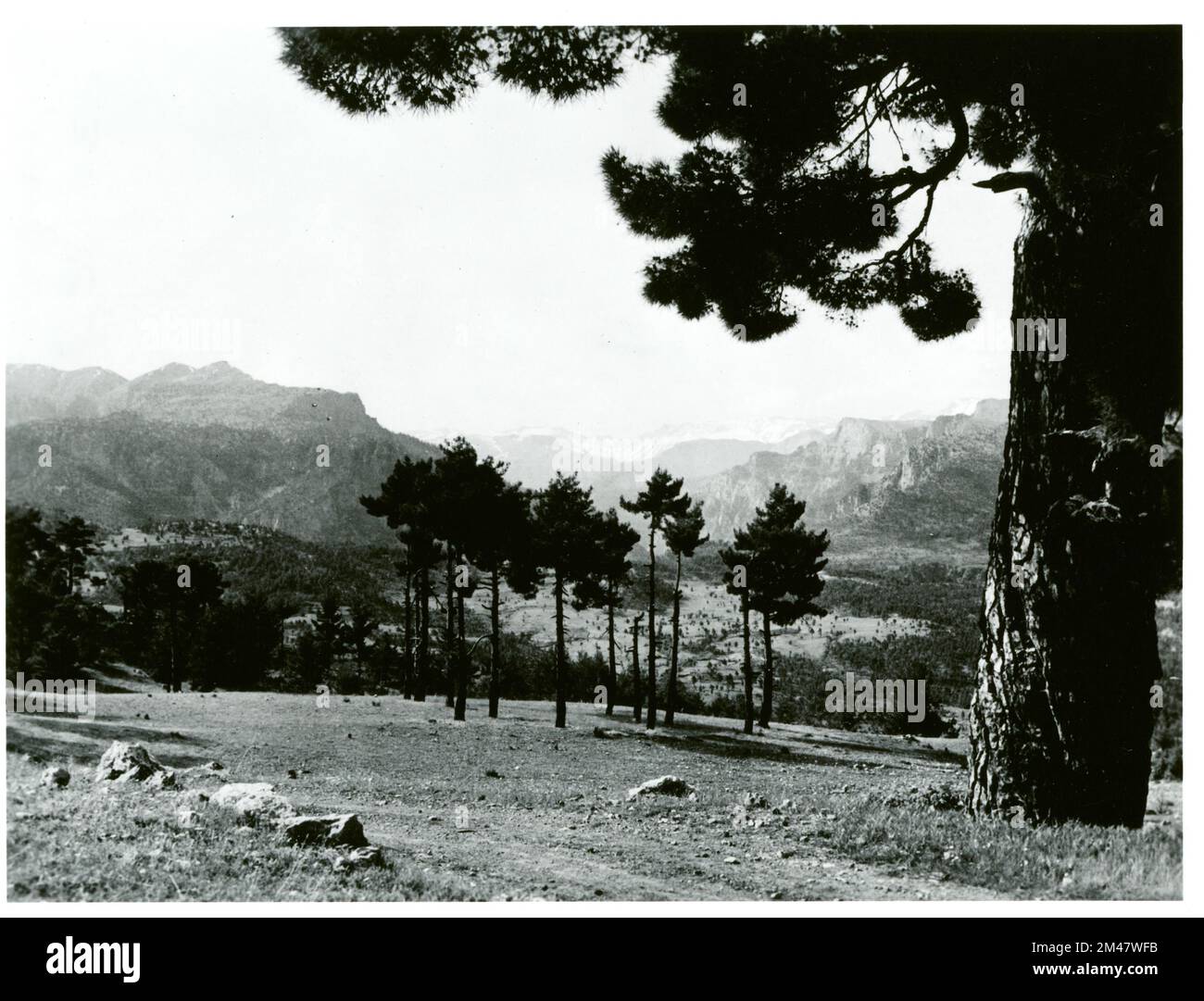 Vallée de Gulek sur la route turque 1. Légende originale: Vallée de Gulek sur la route turque 1 dans le sud - centre de la Turquie. C'est près de la voie de la porte du Cilicien qui était la route ou Alexandre le Grand sur sa campagne réussie contre les Perses en 330 av. J.-C. État: Turquie. Banque D'Images