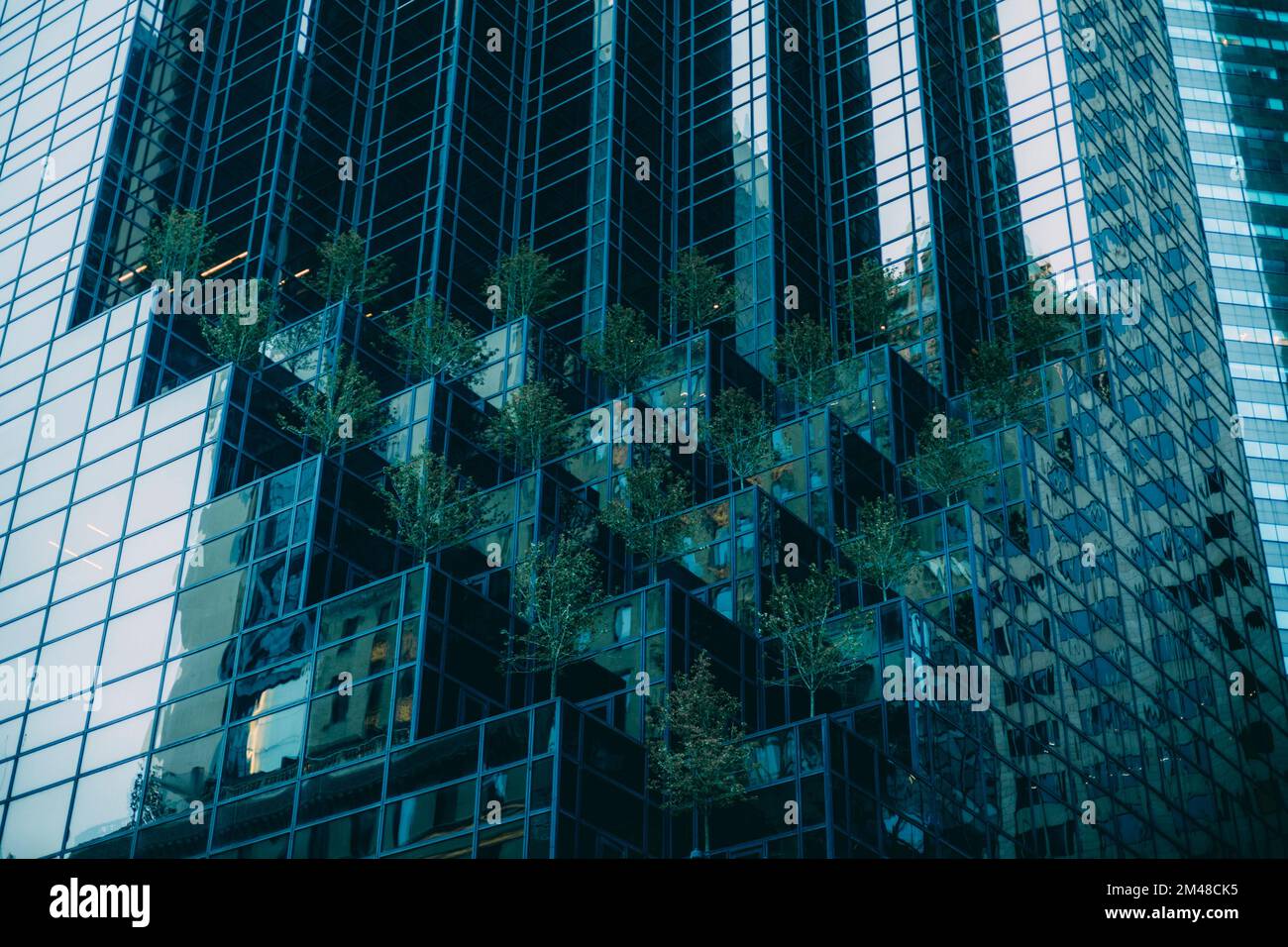 New York Manhattan, 02,10 - 10.10.22 : Trump Tower à Manhattan. Foto: Pressefoto Mika Volkmann Banque D'Images