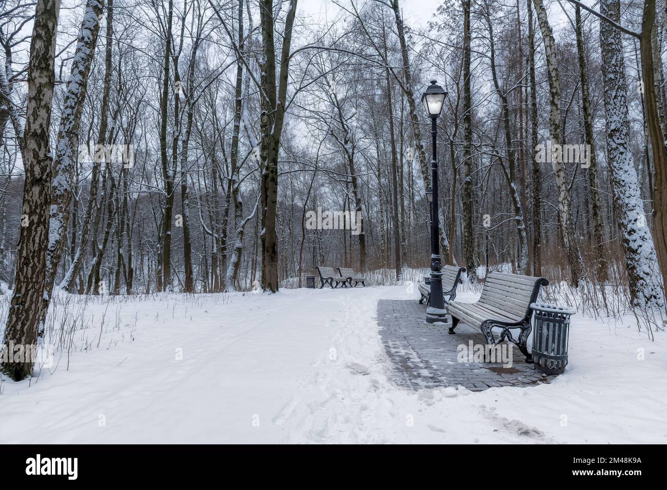 Garez le banc dans une allée et les arbres couverts de neige épaisse. Paysage d'hiver. Banque D'Images