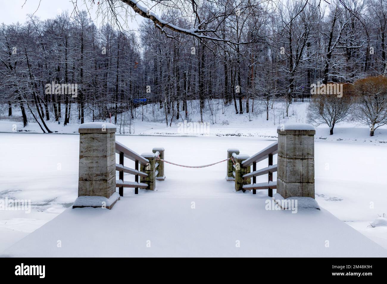 Paysage d'hiver avec jetée sur le lac sous la neige et la forêt enneigée. Banque D'Images