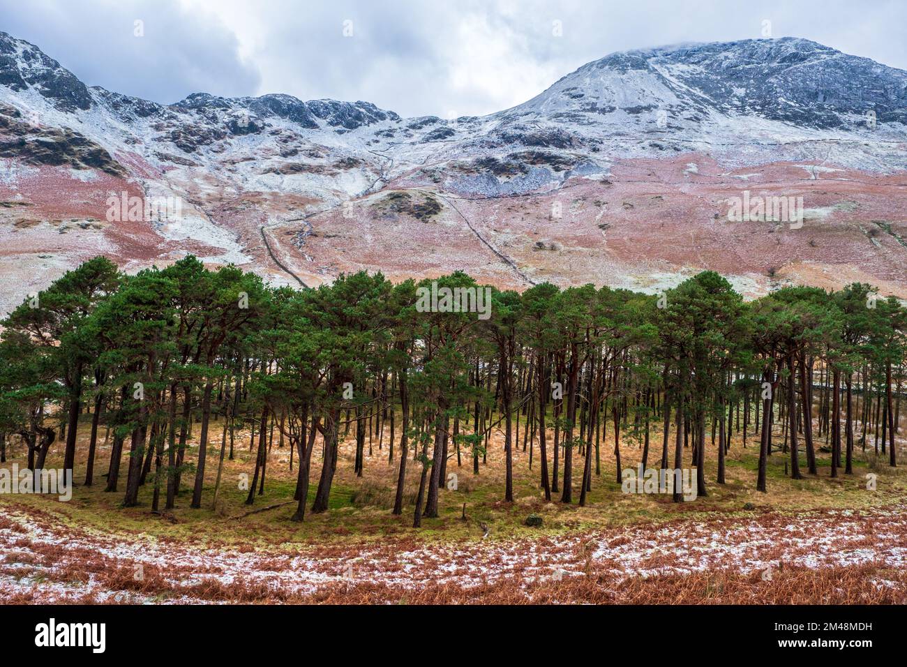 High Crag est tombé, Buttermere, en hiver. Lake District National Park, Cumbria, Royaume-Uni Banque D'Images