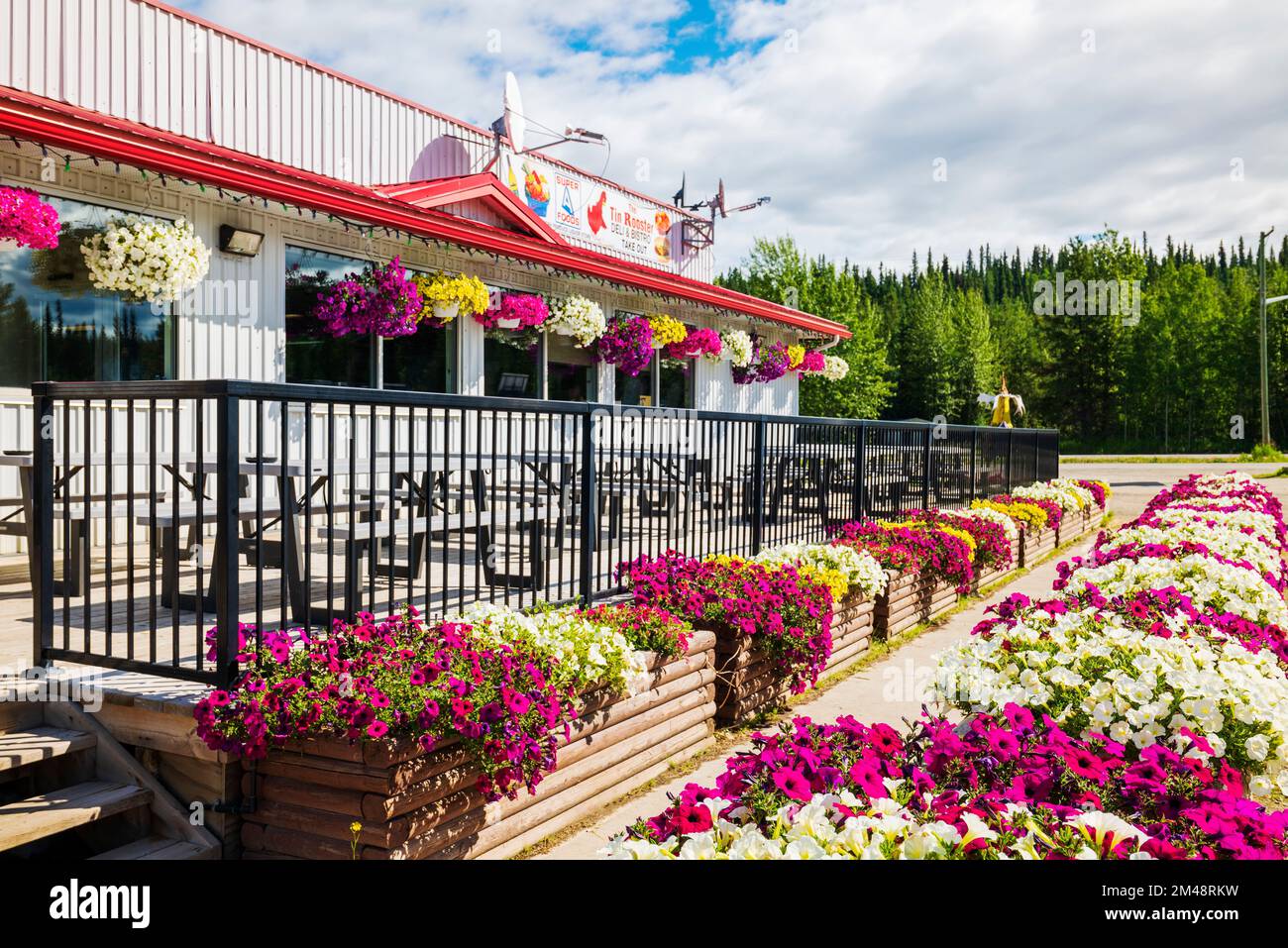 Fleurs colorées et terrasse extérieure; le Tin Rooster Deli & Bistro; Dease Lake; Colombie-Britannique; Canada Banque D'Images