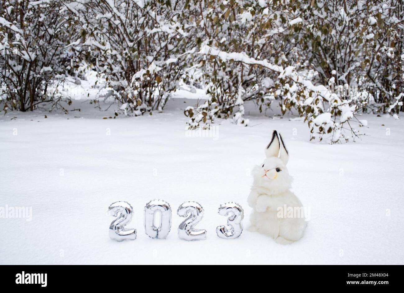 Lapin blanc moelleux avec numéros d'argent 2023 sur fond de forêt blanche de neige. Copier l'espace. Symbole du nouvel an chinois 2023. Banque D'Images