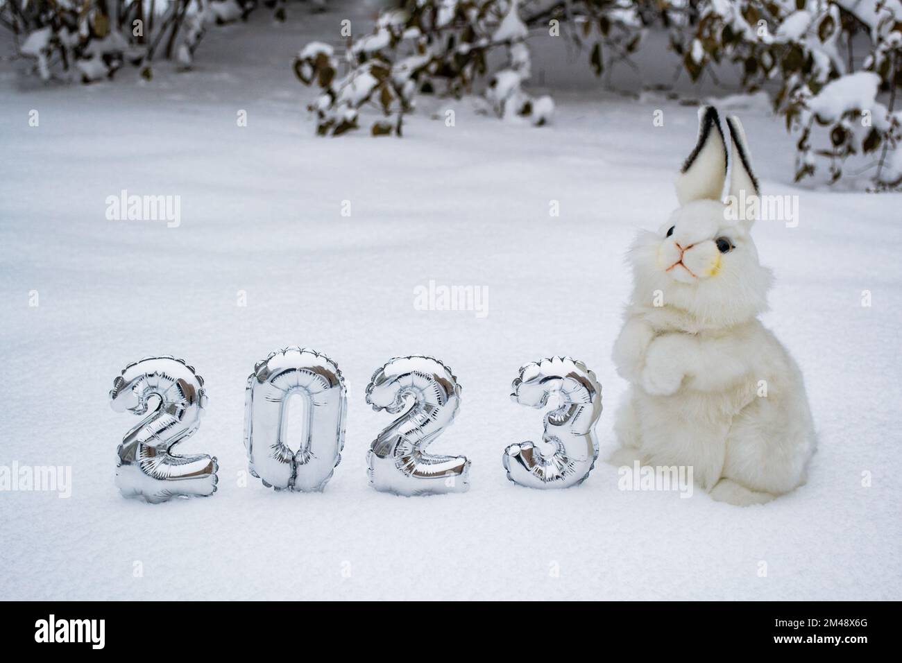 Lapin blanc moelleux avec numéros d'argent 2023 sur fond de forêt blanche de neige. Copier l'espace. Symbole du nouvel an chinois 2023. Banque D'Images