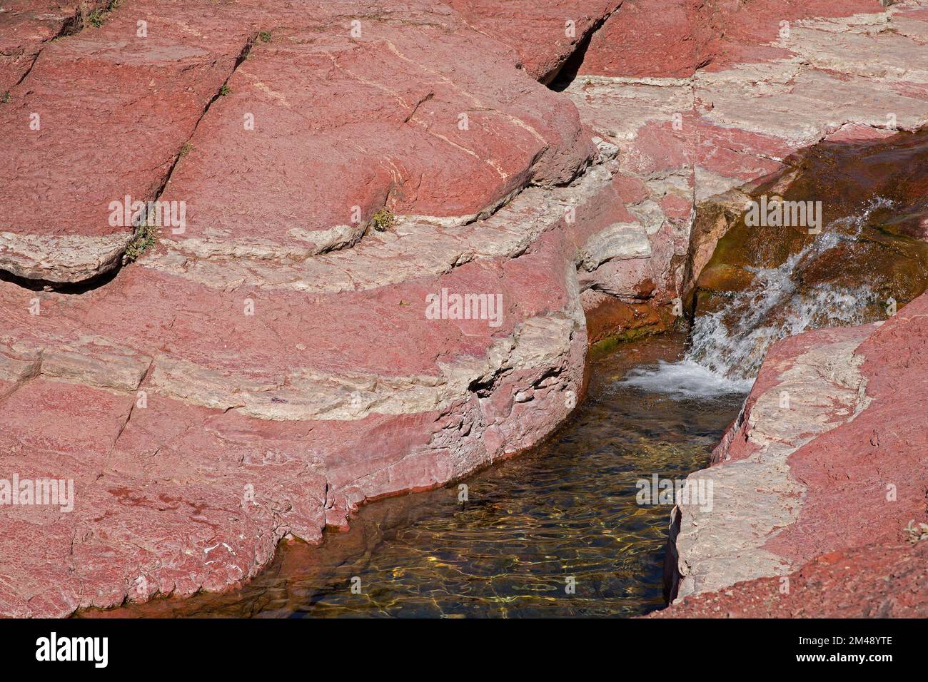 Roche argilite ancienne colorée en rouge par du fer oxydé le long du ruisseau Bauerman dans le Red Rock Canyon, parc national des Lacs-Waterton, Canada Banque D'Images