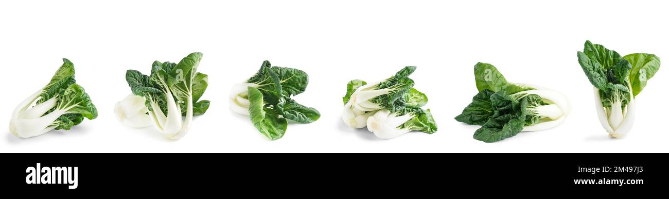 Chou blanc de pak choi frais sur fond blanc Banque D'Images