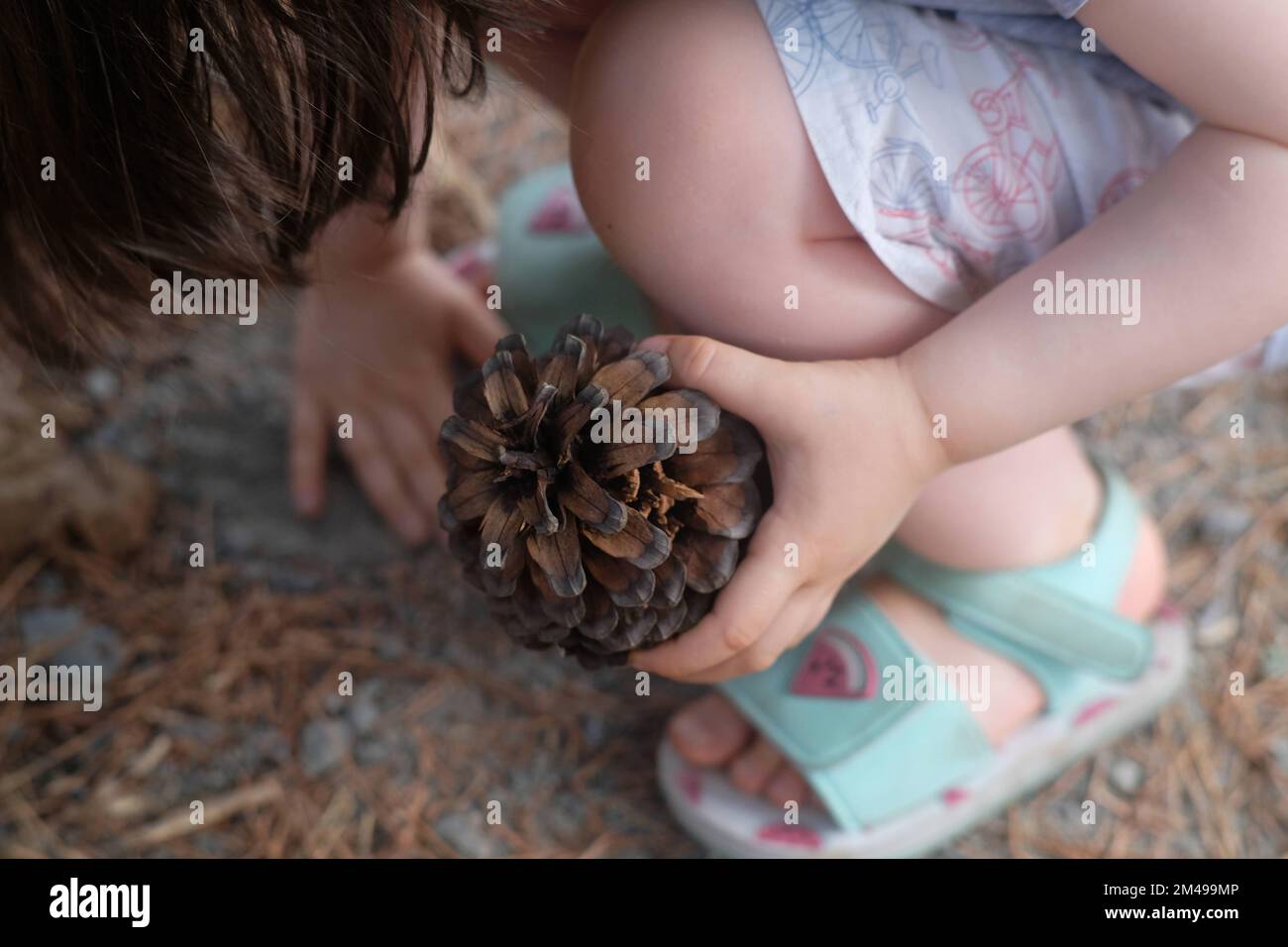 Un petit enfant jouant avec un cône de conifères dans ses mains portant de jolies sandales Banque D'Images