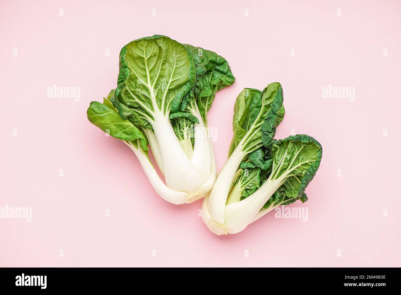 Cabages frais pak choi sur fond rose Banque D'Images