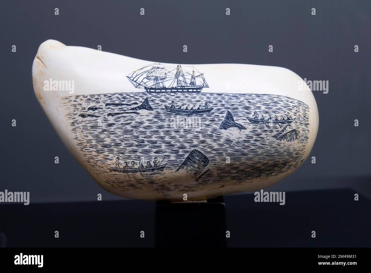 Dessins historiques sur une dent de cachalot (Physeter macrocephalus) (Syn.: Physeter catodon), Musée des baleines à Canical, île de Madère, Portugal Banque D'Images