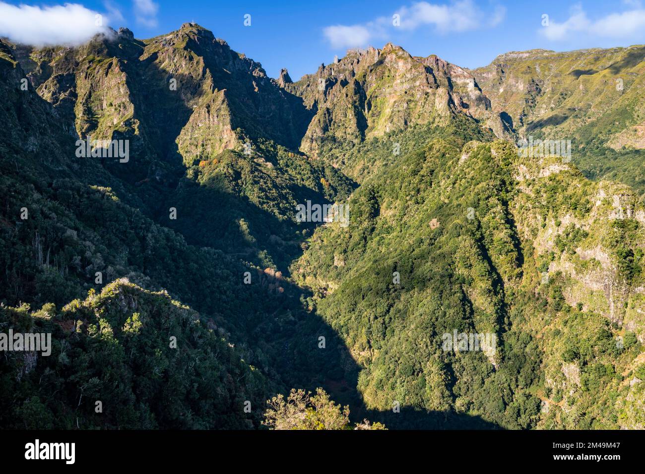 Vue sur la chaîne de montagnes depuis le point de vue, Ribeiro Frio, l'île de Madère, Portugal Banque D'Images