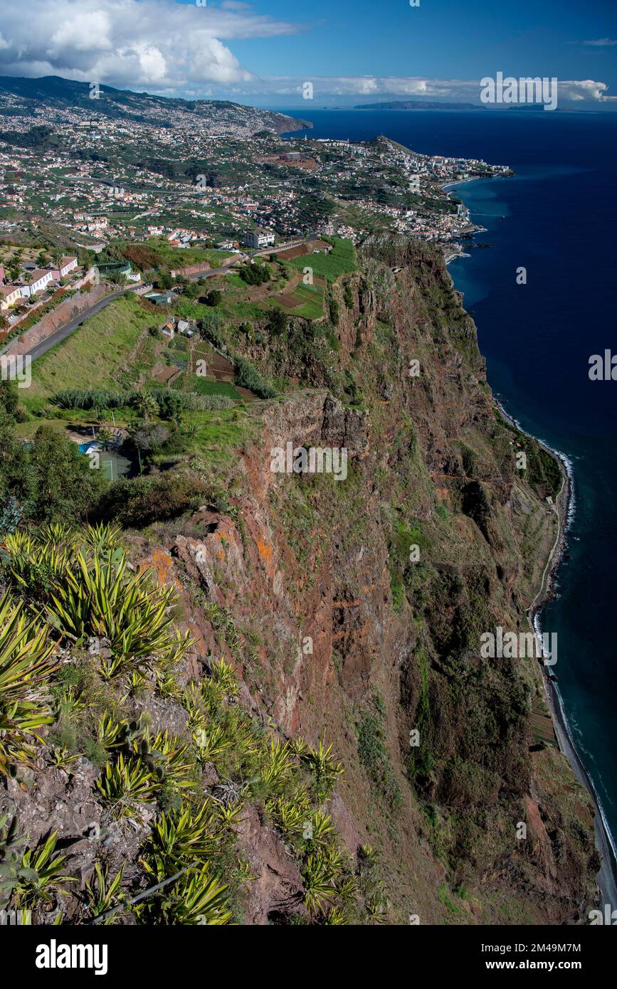Falaise vue depuis la passerelle à fond de verre, Cabo Girao, Funchal, l'île de Madère, Portugal Banque D'Images