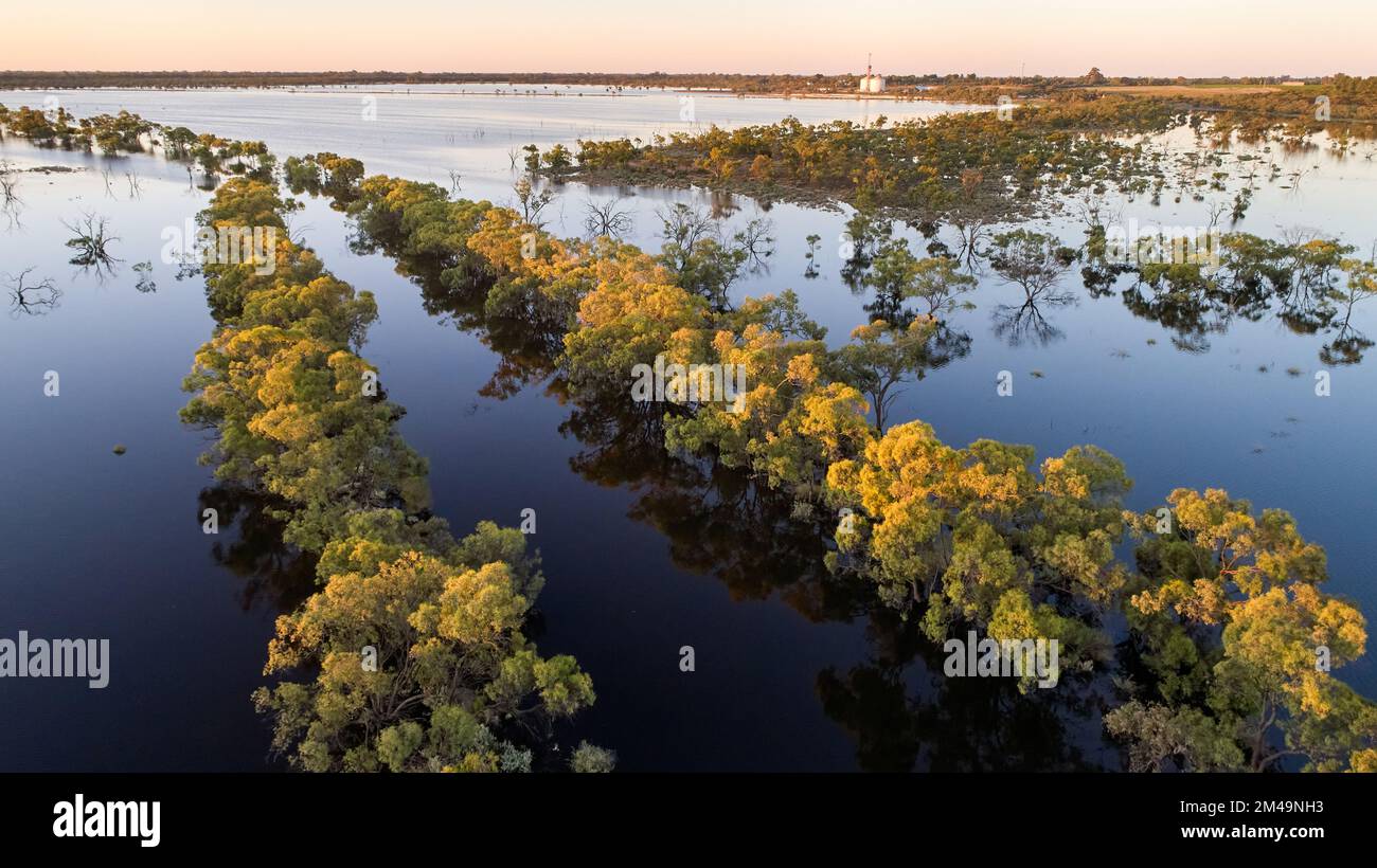 Angle élevé d'arbres et eaux de crue à travers la plaine inondable de Meridian Road, nord-ouest de Victoria, Australie. Les silos de gain Yelta sont visibles en haut Banque D'Images