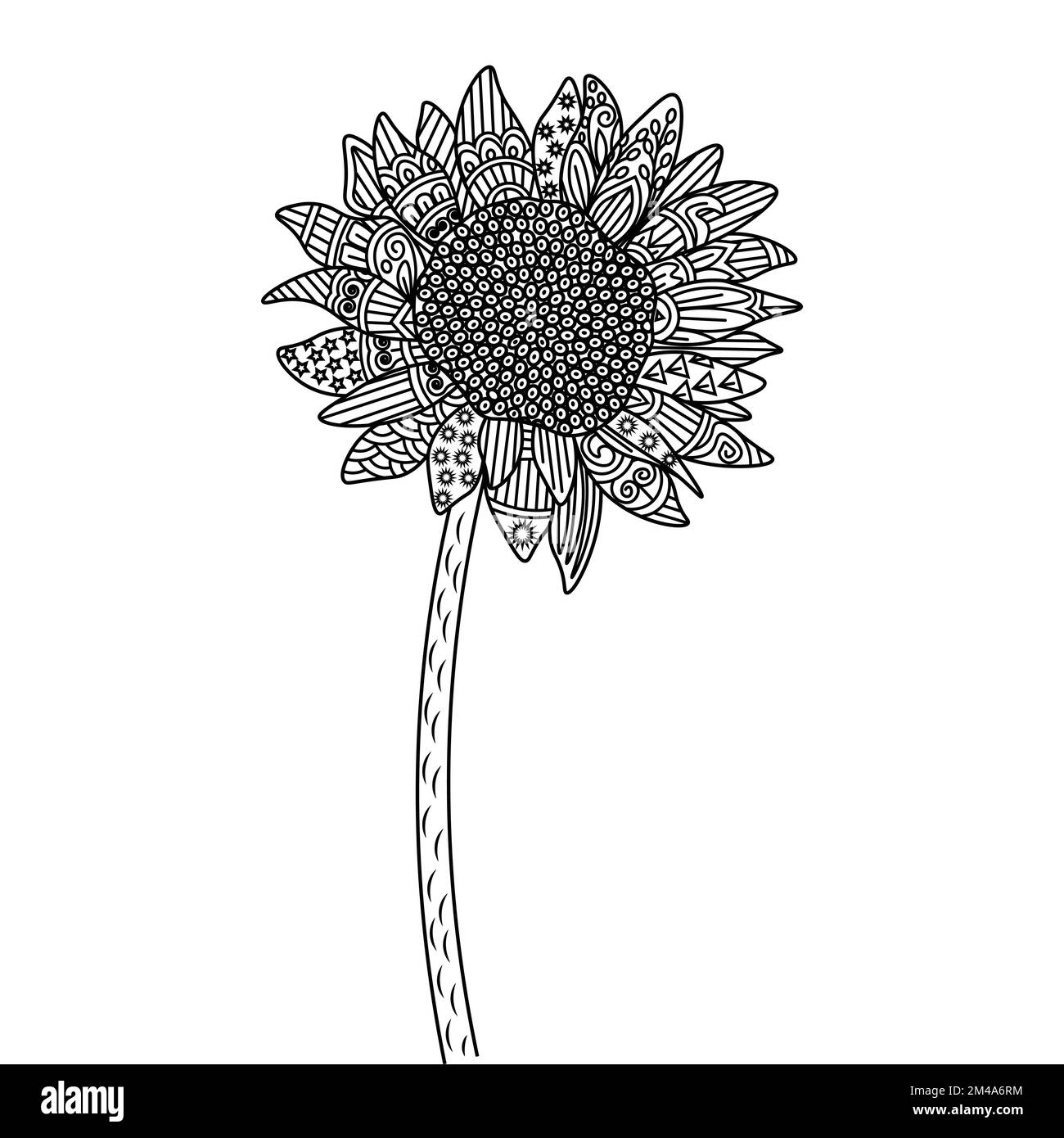 zentangle tournesol coloriage page avec décoration fleur fond design illustration Illustration de Vecteur