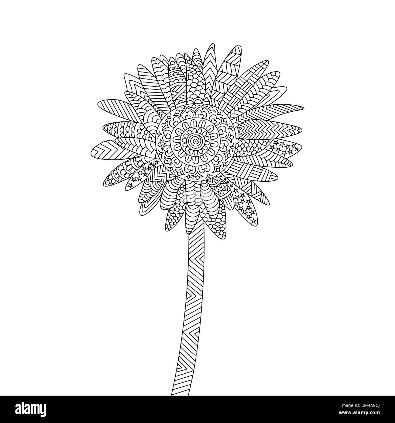 tournesol de zentangle coloriage page avec décoration fleur de fond design illustration Illustration de Vecteur