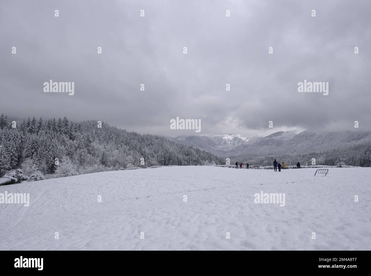 Paysage hivernal enneigé au parc régional de la rivière Capilano près du barrage Cleveland, à North Vancouver, Colombie-Britannique, Canada Banque D'Images