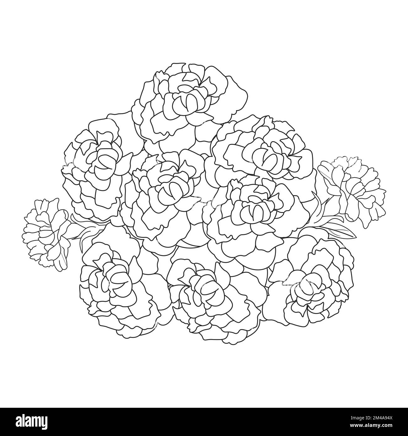 belle page de coloriage de fleurs avec dessin au crayon détaillé dans le graphique vectoriel de l'art au trait Illustration de Vecteur
