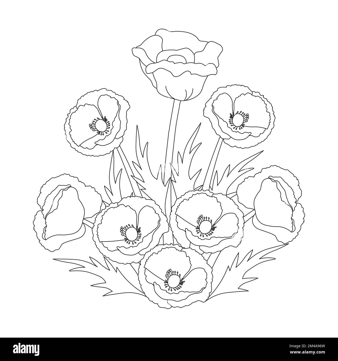 coquelicot fleur motif artistique de coloriage page avec graphique vectoriel de dessin au trait détaillé Illustration de Vecteur