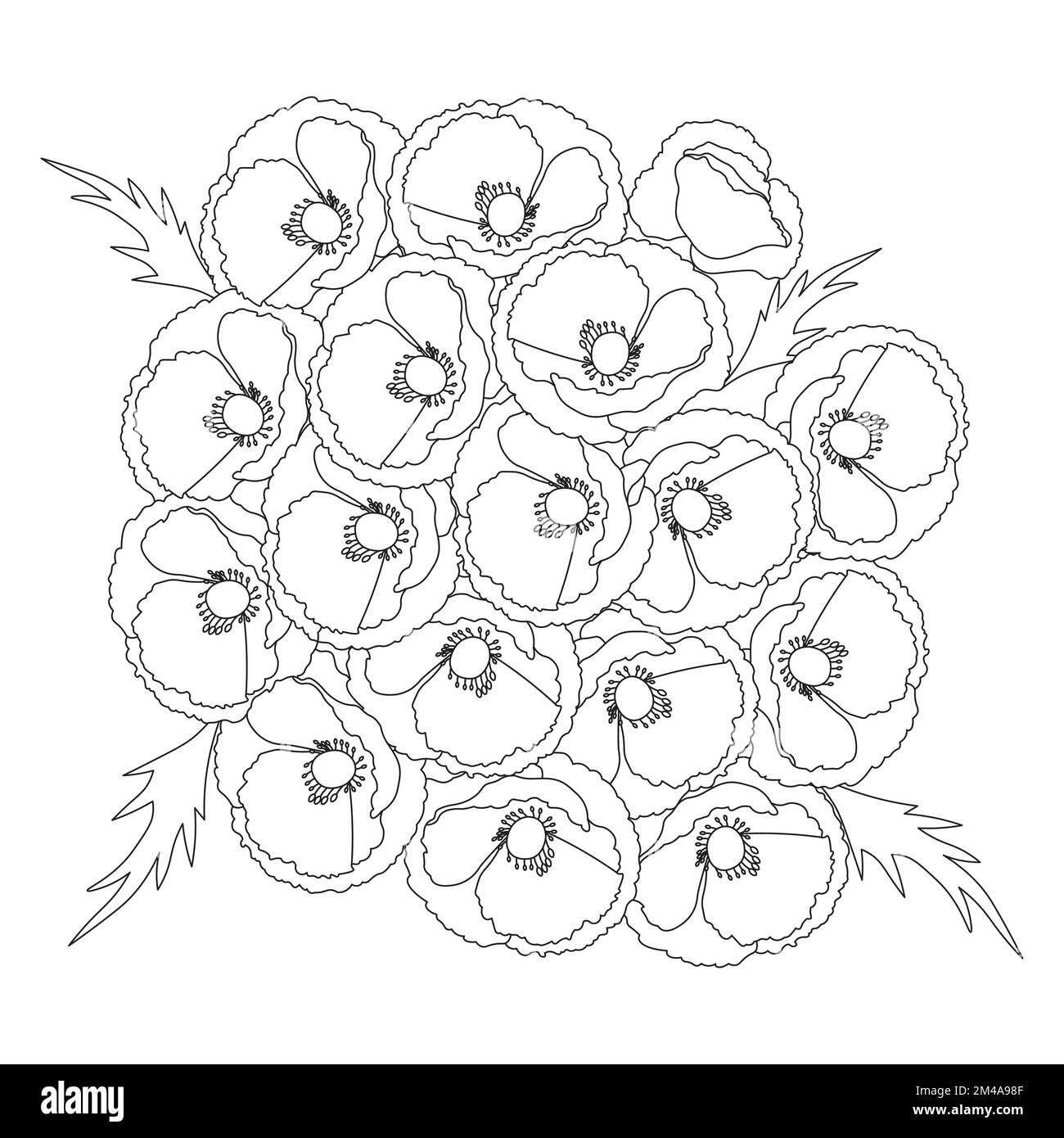 coquelicot fleur motif artistique de coloriage page avec graphique vectoriel de dessin au trait détaillé Illustration de Vecteur