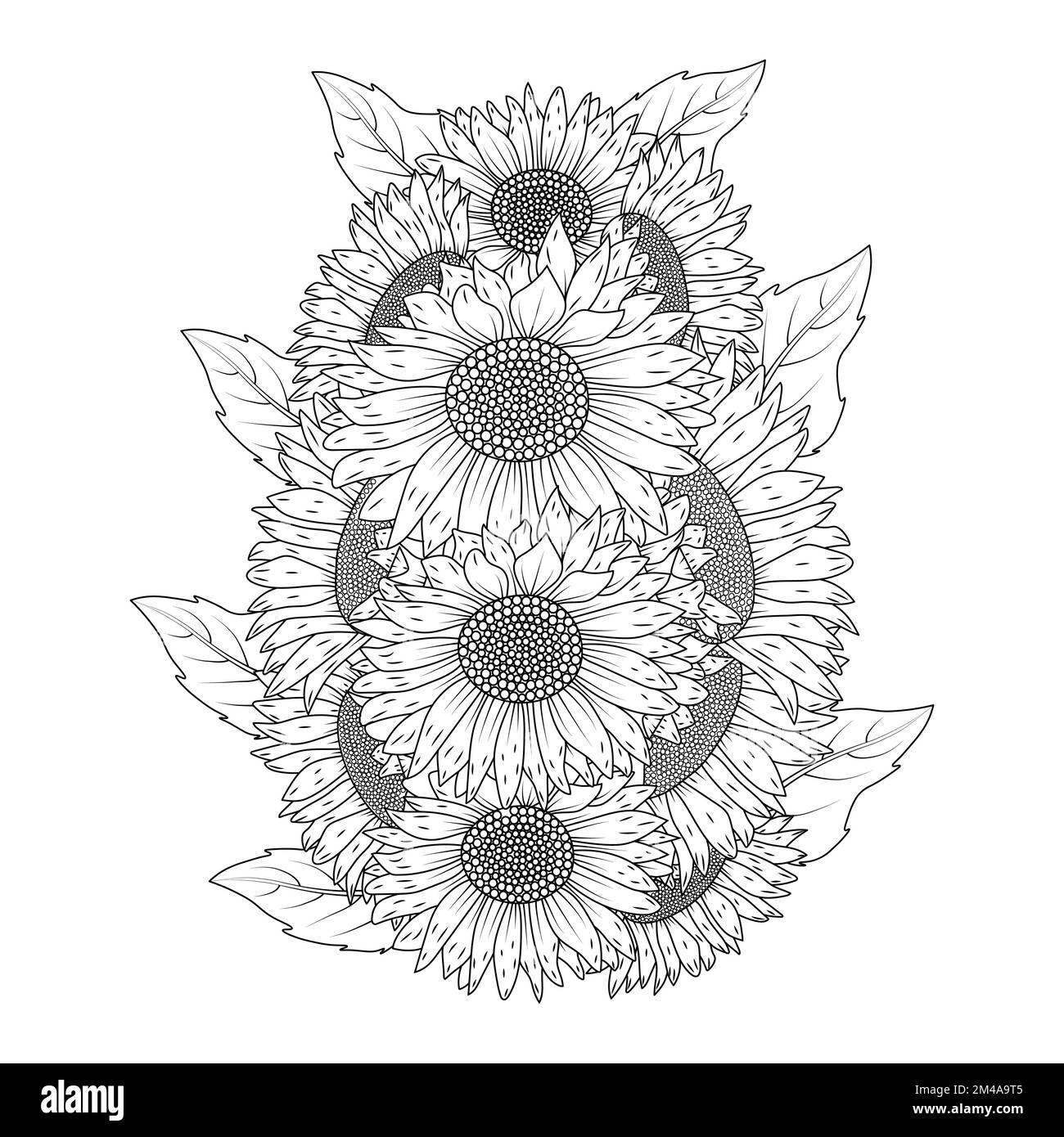 motif tournesol vectoriel avec pétales en fleurs page de livre de coloriage pour adultes fleurs Illustration de Vecteur