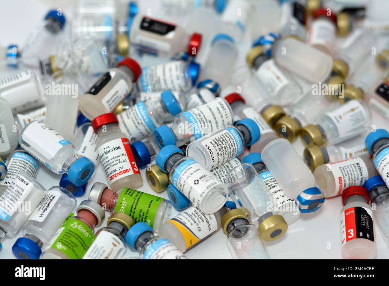 Le Caire, l'Egypte, le 17 décembre 2022 : contexte de différents types de vaccins animaux pour chats, chiens et autres animaux contre divers virus Banque D'Images