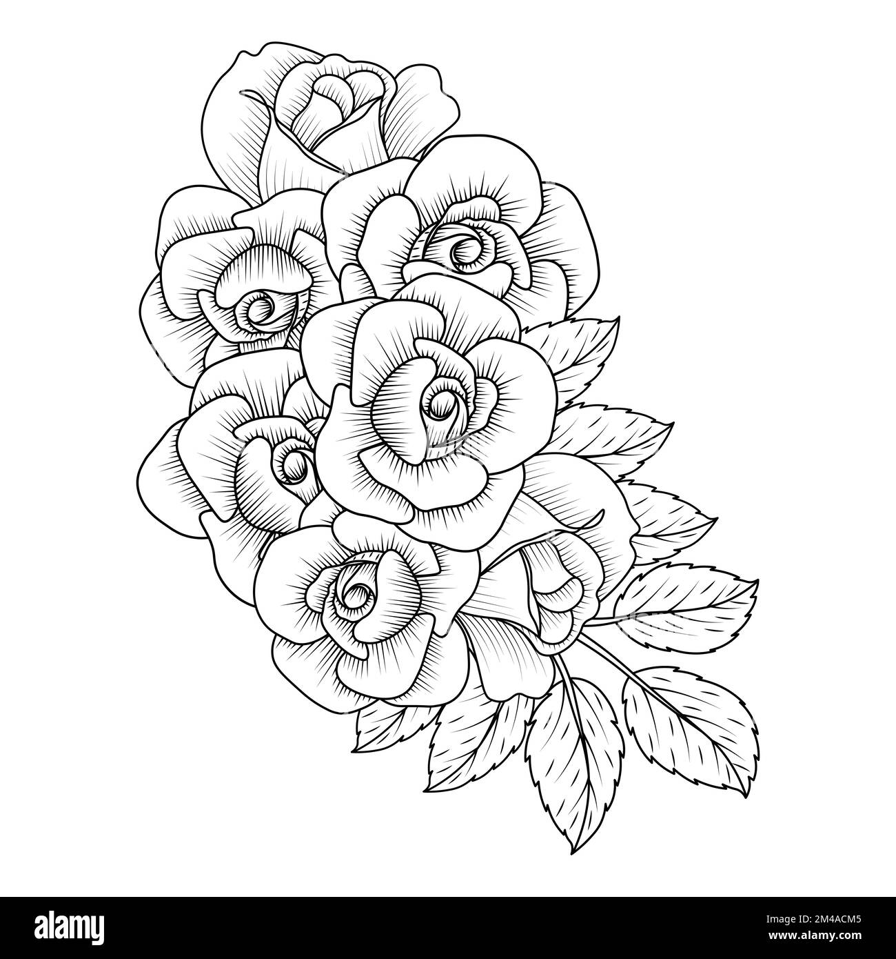 page de coloriage de la ligne de fleur rouge rose avec dessin d'esquisse de crayon décoratif Illustration de Vecteur