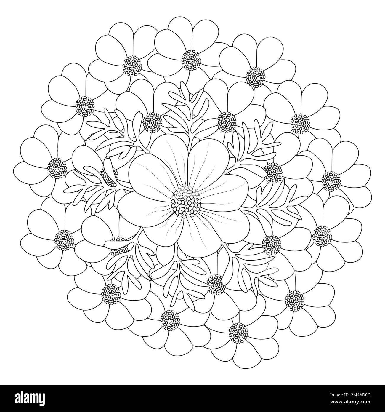 page de coloriage de fleurs cosmos de l'usine de cosmos en fleur de contour pour la conception d'été Illustration de Vecteur