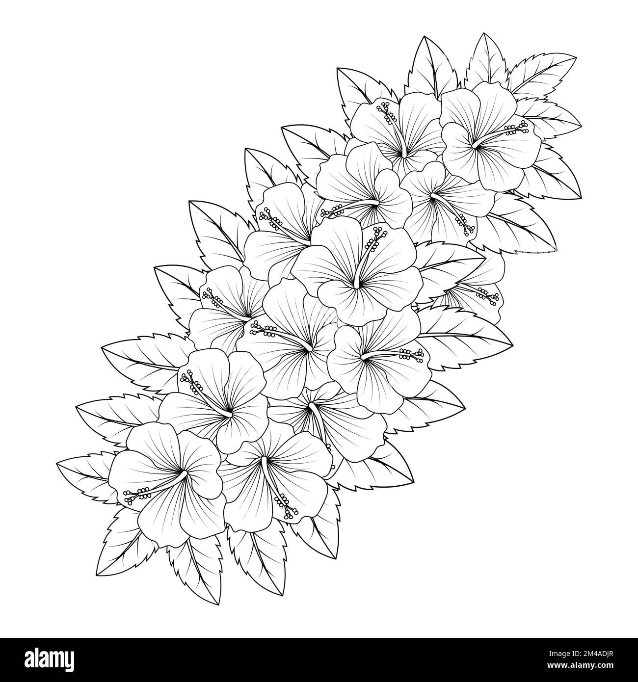 illustration de la page de coloriage de fleurs hibiscus avec trait d'art noir et blanc dessiné à la main Illustration de Vecteur