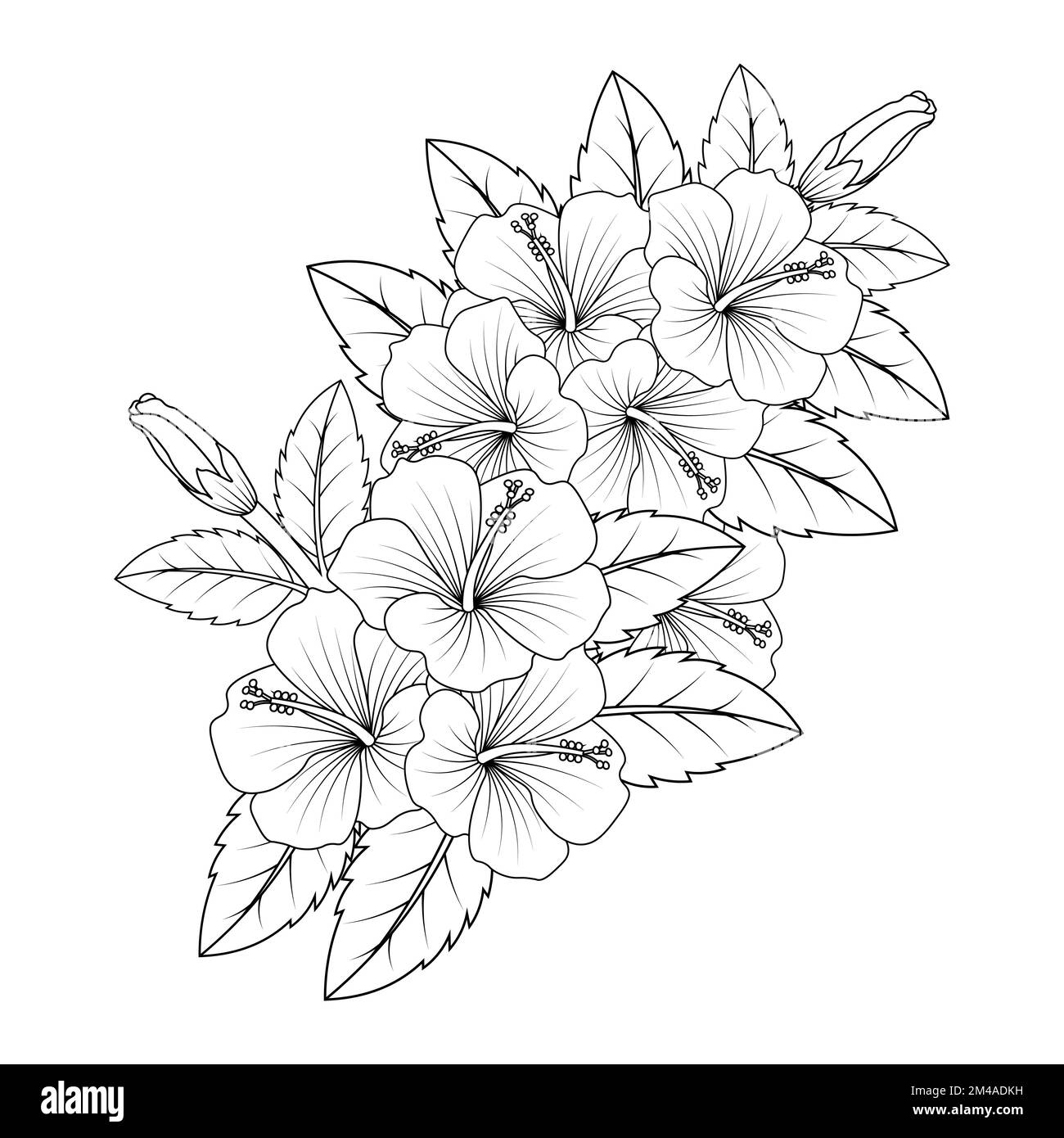 illustration de la page de coloriage de fleurs hibiscus avec trait d'art noir et blanc dessiné à la main Illustration de Vecteur