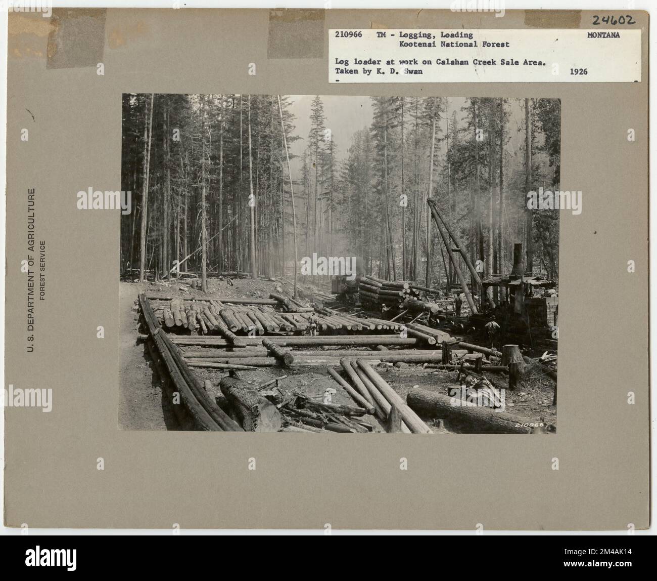 Exploitation forestière: Transport: Chemins de fer - Montana. Photographies relatives aux forêts nationales, aux pratiques de gestion des ressources, au personnel et à l'histoire culturelle et économique Banque D'Images