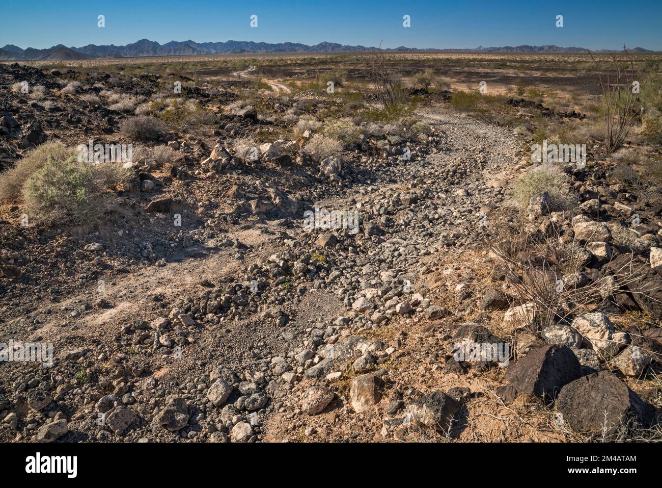 Route accidentée à travers les rochers de coulée de lave de Pinacate, El Camino del Diablo, refuge pour animaux sauvages Cabeza Prieta Natl, Arizona, États-Unis Banque D'Images