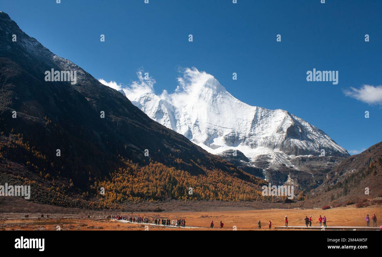Pâturage et montagne dans la réserve naturelle de Yading Banque D'Images