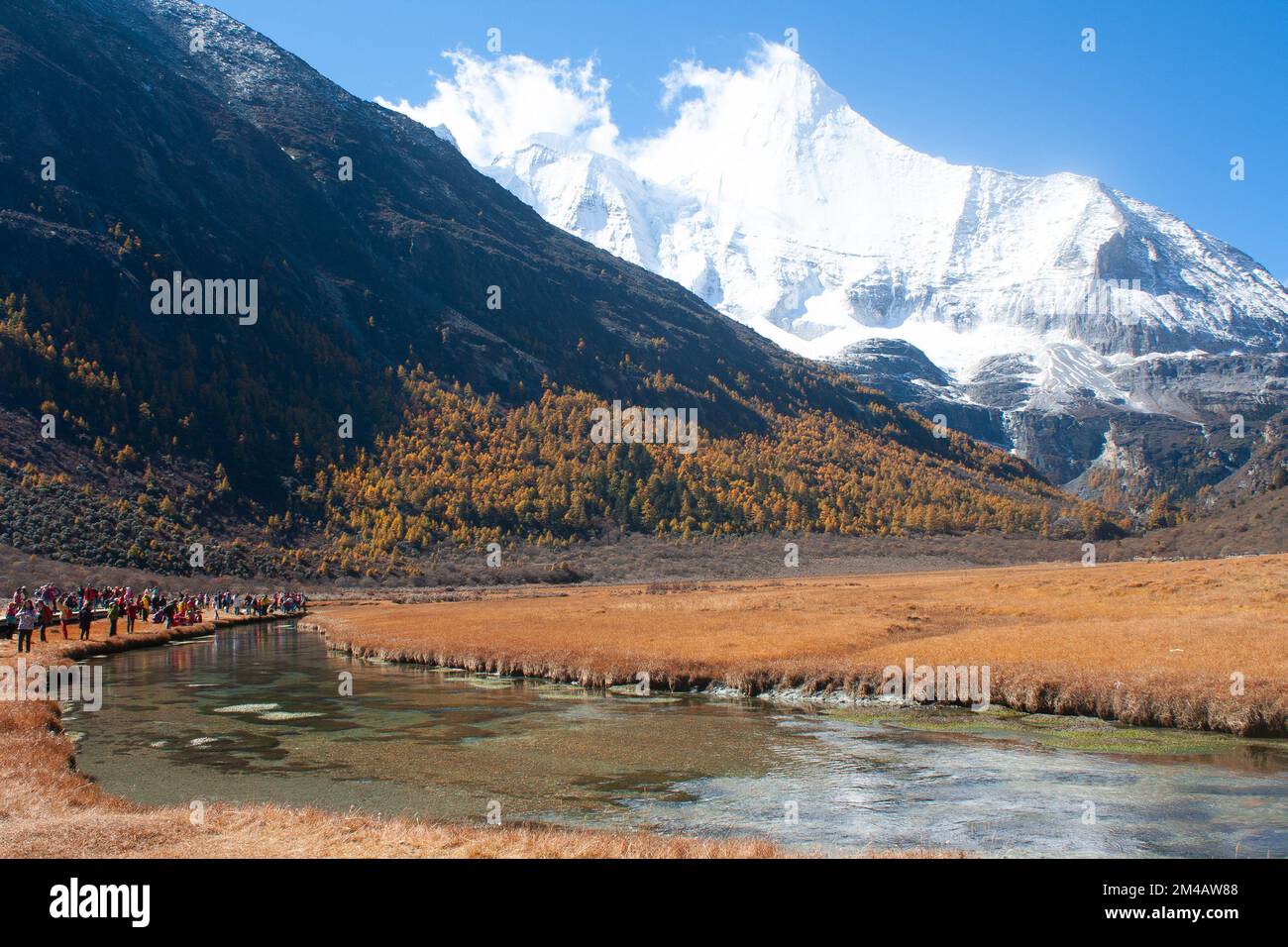 Pâturage et montagne dans la réserve naturelle de Yading Banque D'Images