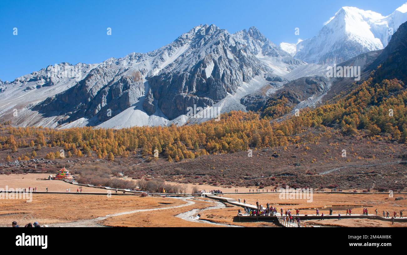 Pâturage et montagne dans la réserve naturelle de Yading Banque D'Images