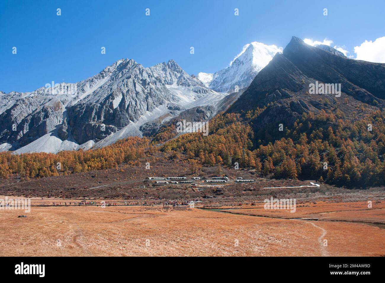 Pâturage et montagne dans la réserve naturelle de Yading Banque D'Images
