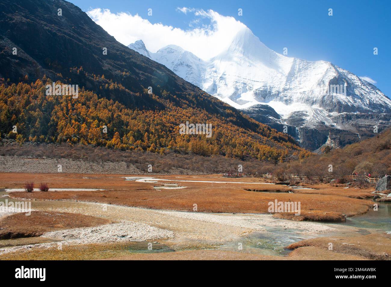 Pâturage et montagne dans la réserve naturelle de Yading Banque D'Images