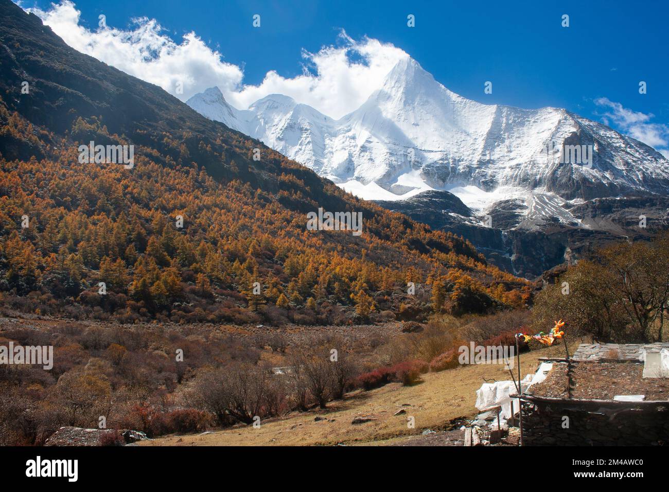 Pâturage et montagne dans la réserve naturelle de Yading Banque D'Images