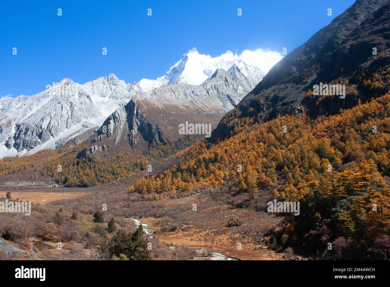 Pâturage et montagne dans la réserve naturelle de Yading Banque D'Images