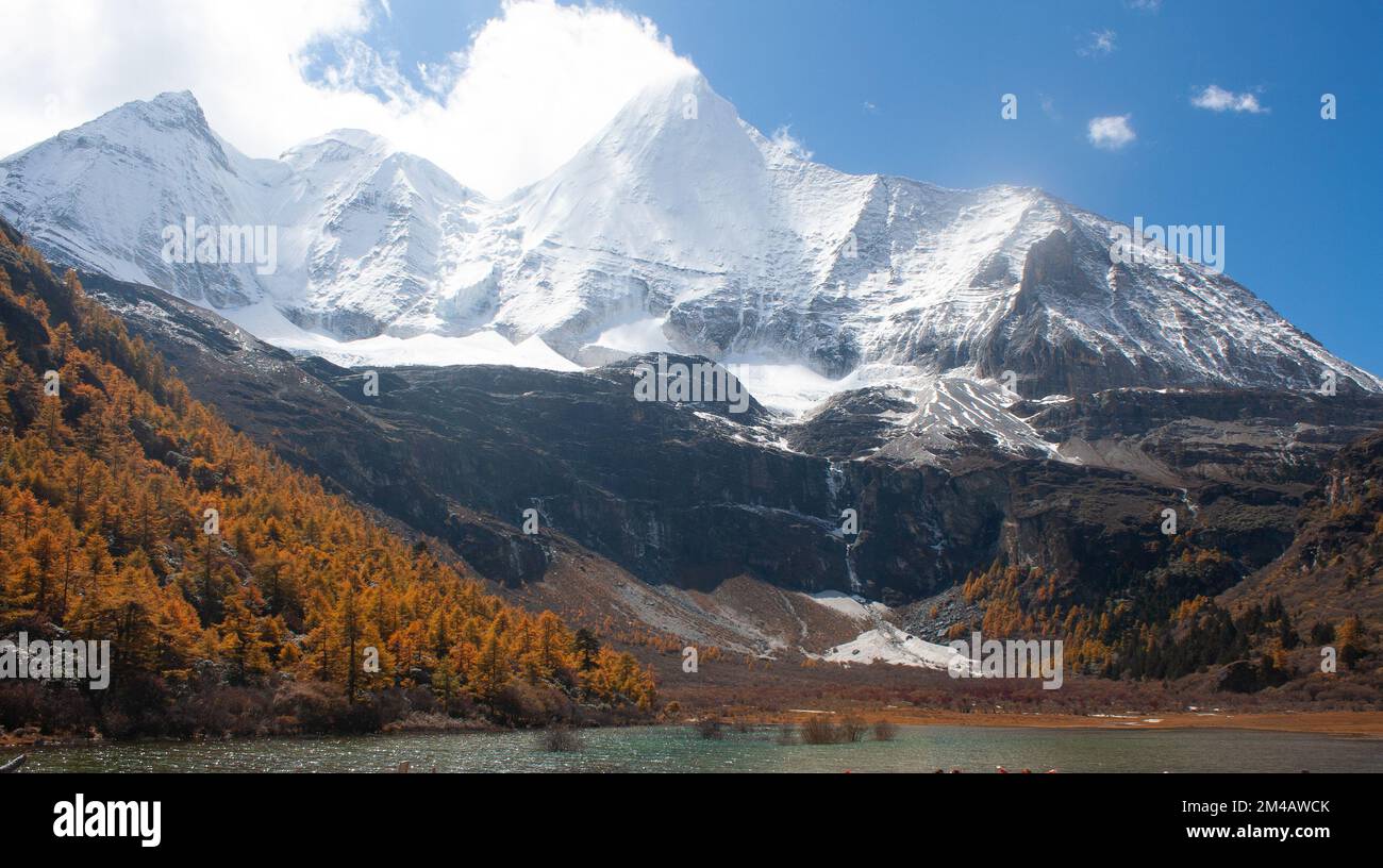 Pâturage et montagne dans la réserve naturelle de Yading Banque D'Images