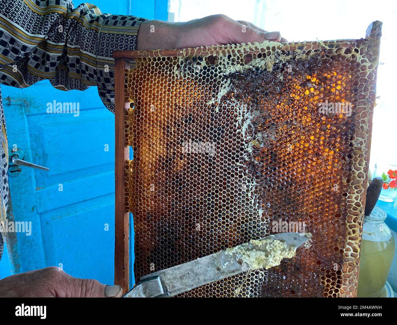 Texture d'arrière-plan et motif d'une section de nid d'abeille de cire d'une ruche d'abeille remplie de miel doré dans une vue plein cadre. Photo de haute qualité Banque D'Images