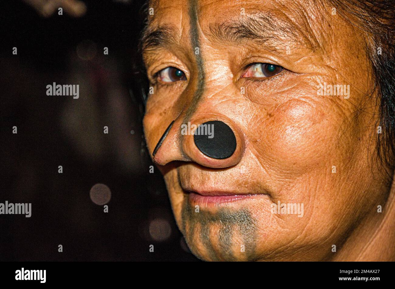 Portrait d'une femme d'Apatani avec tatouages et disques traditionnels de bambou dans ses narines Banque D'Images