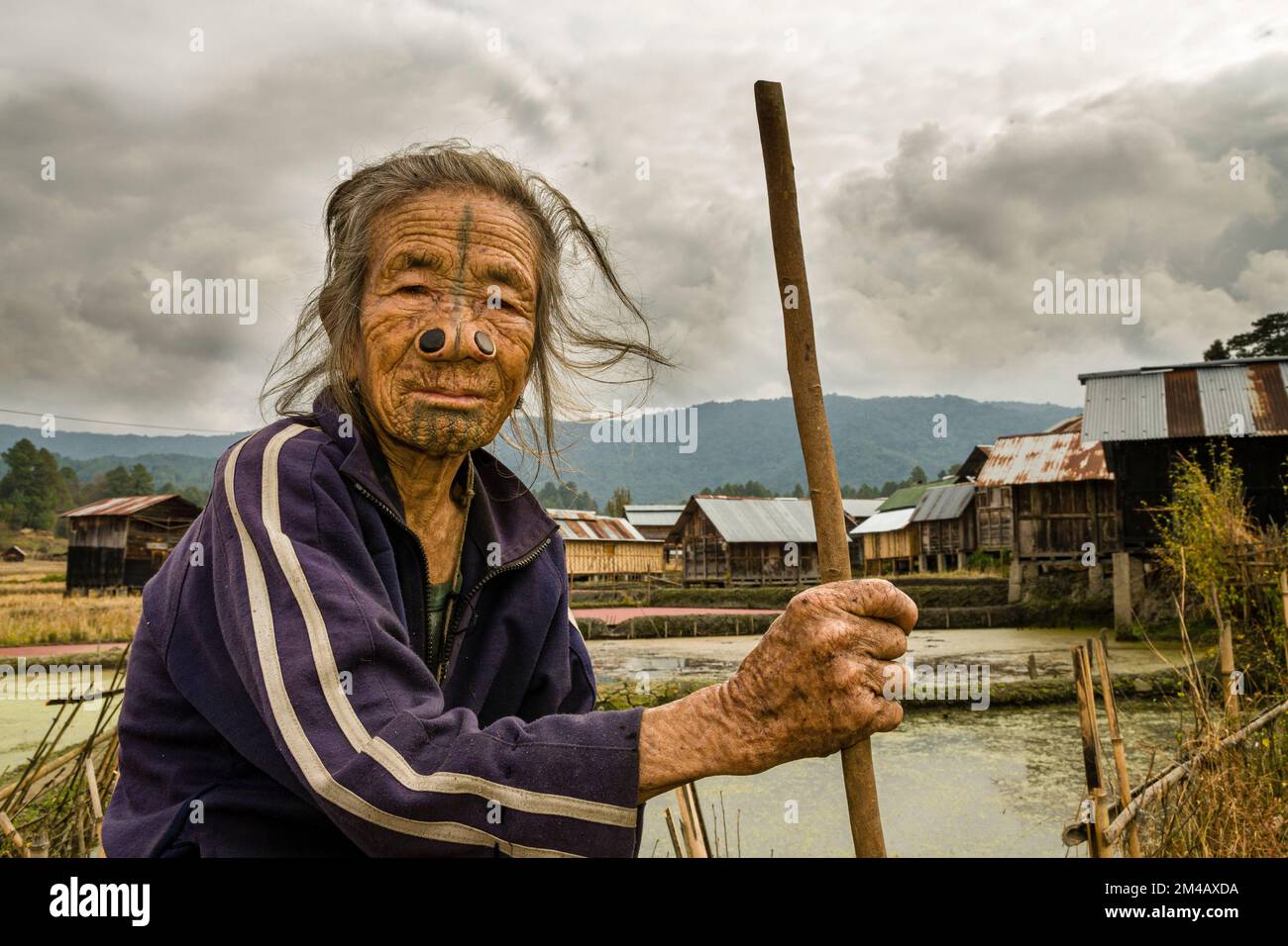 Portrait d'une femme d'Apatani avec tatouages et disques traditionnels de bambou dans ses narines Banque D'Images