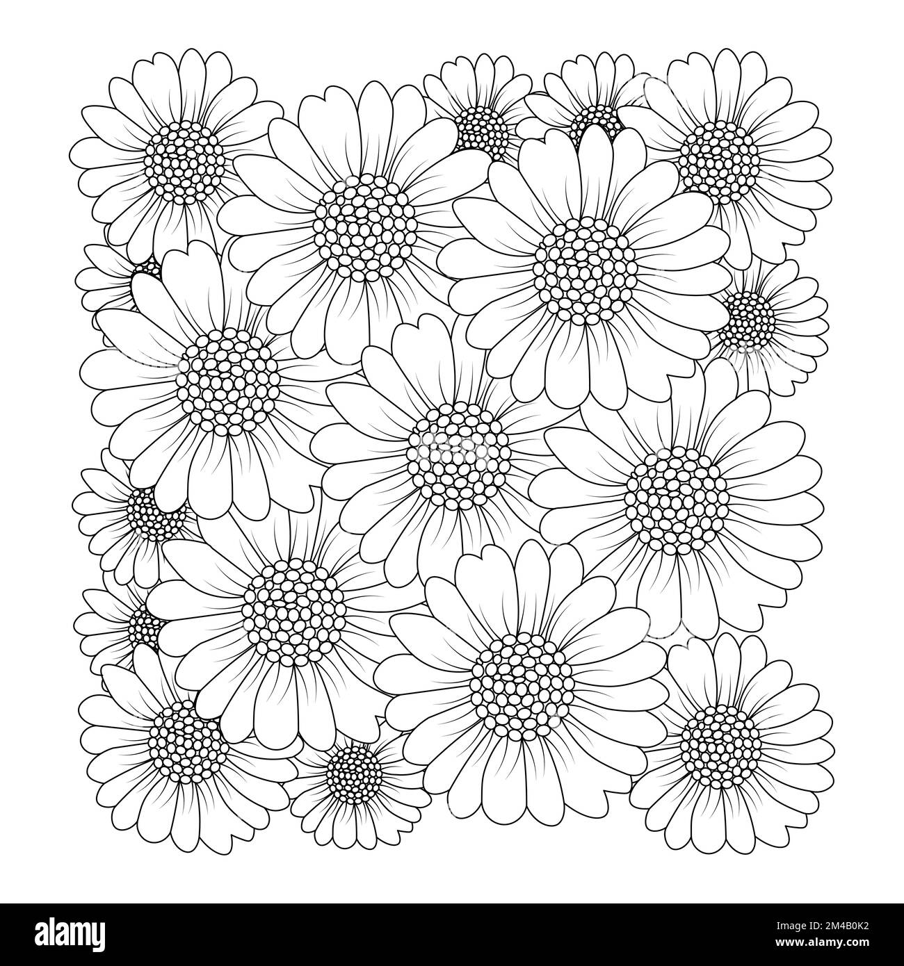 motif camomille et fleur en forme de page avec motif vectoriel de dessin au trait détaillé Illustration de Vecteur