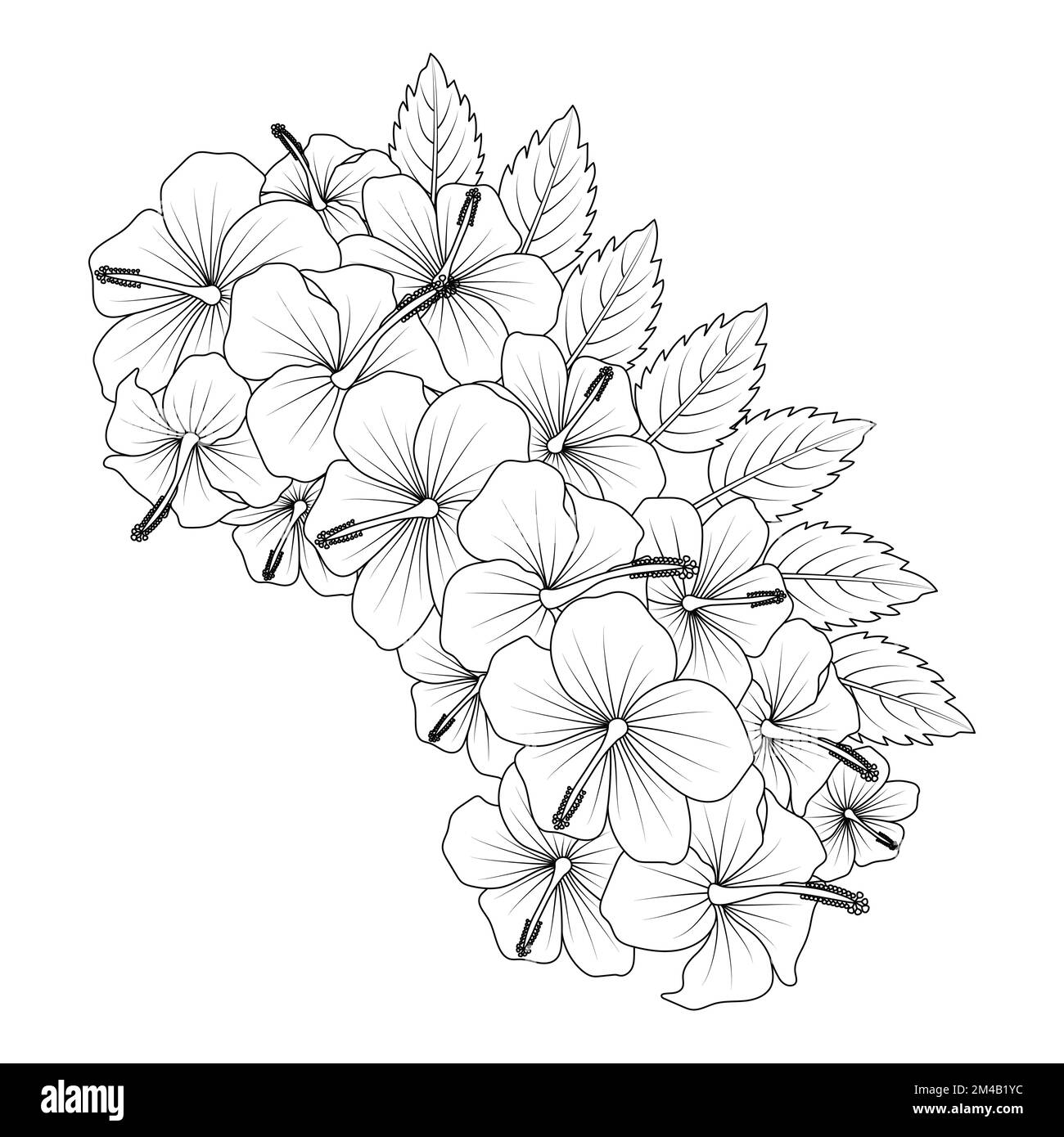 illustration de la page de coloriage de la fleur d'hibiscus chinois dessinée à la main avec dessin au trait sur fond isolé Illustration de Vecteur