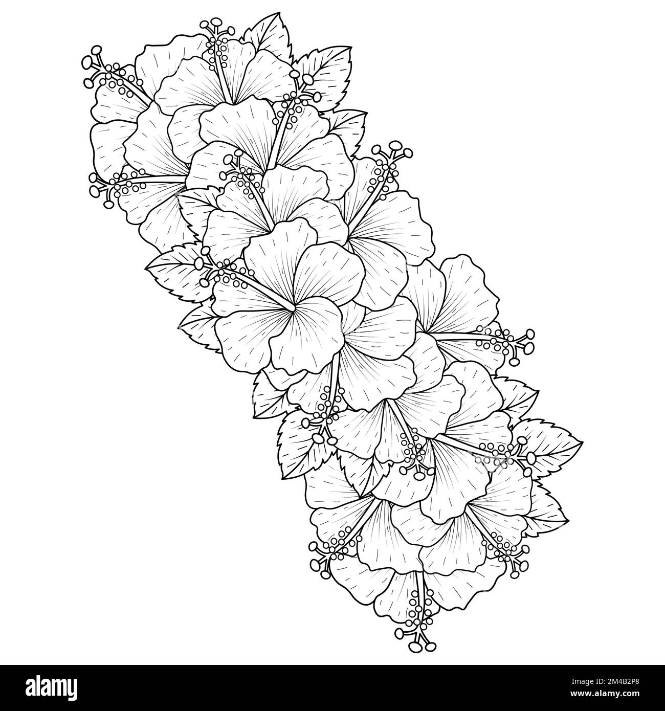 fleurs d'hibiscus communes contour fleurs pétale en fleur ou fleurs de mérelle rose page de coloration Illustration de Vecteur