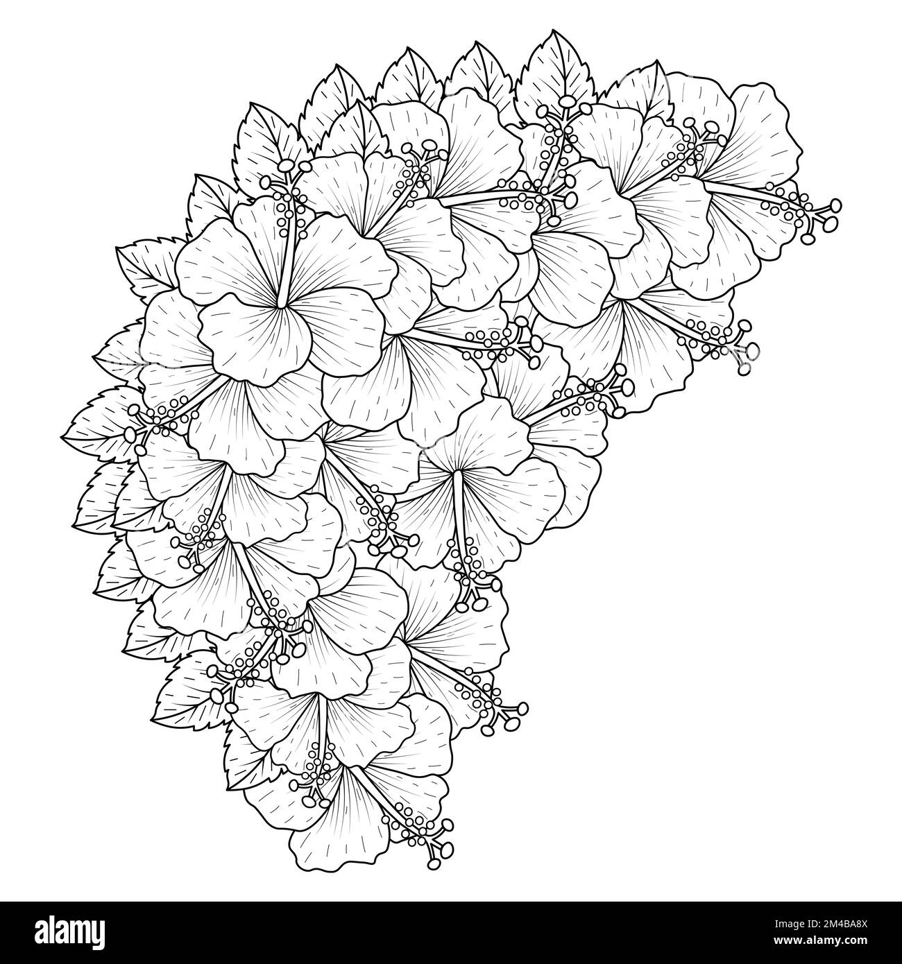 fleurs d'hibiscus communes contour fleurs pétale en fleur ou fleurs de mérelle rose page de coloration Illustration de Vecteur