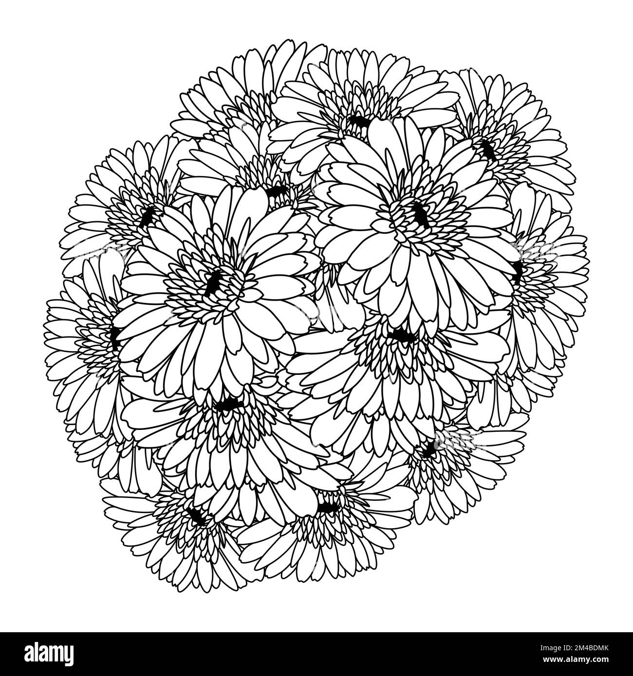 belles fleurs de gerbera marguerite coloriage page dessin détaillé en vecteur graphique de l'art de ligne Illustration de Vecteur