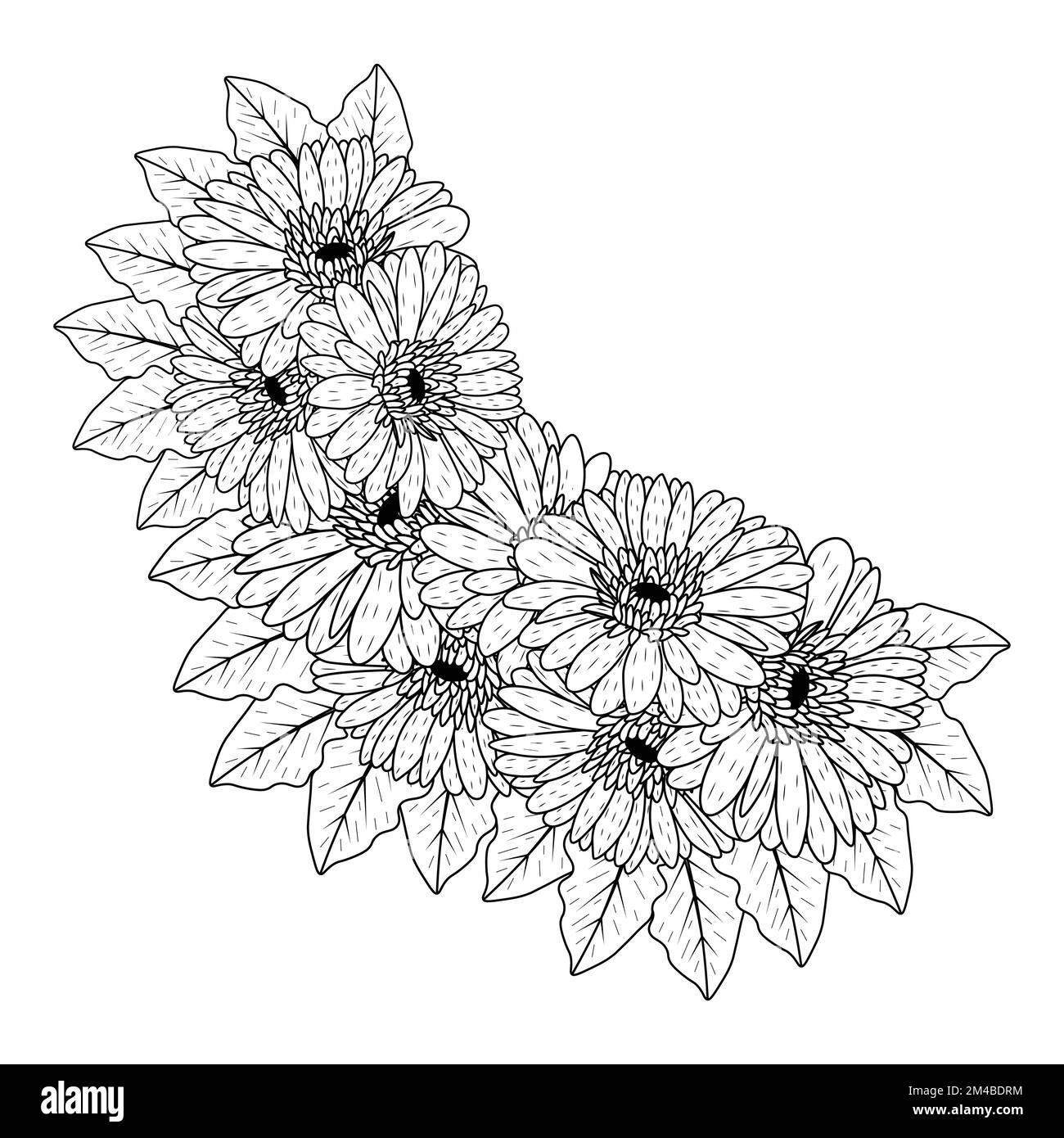 belles fleurs de gerbera marguerite coloriage page dessin détaillé en vecteur graphique de l'art de ligne Illustration de Vecteur