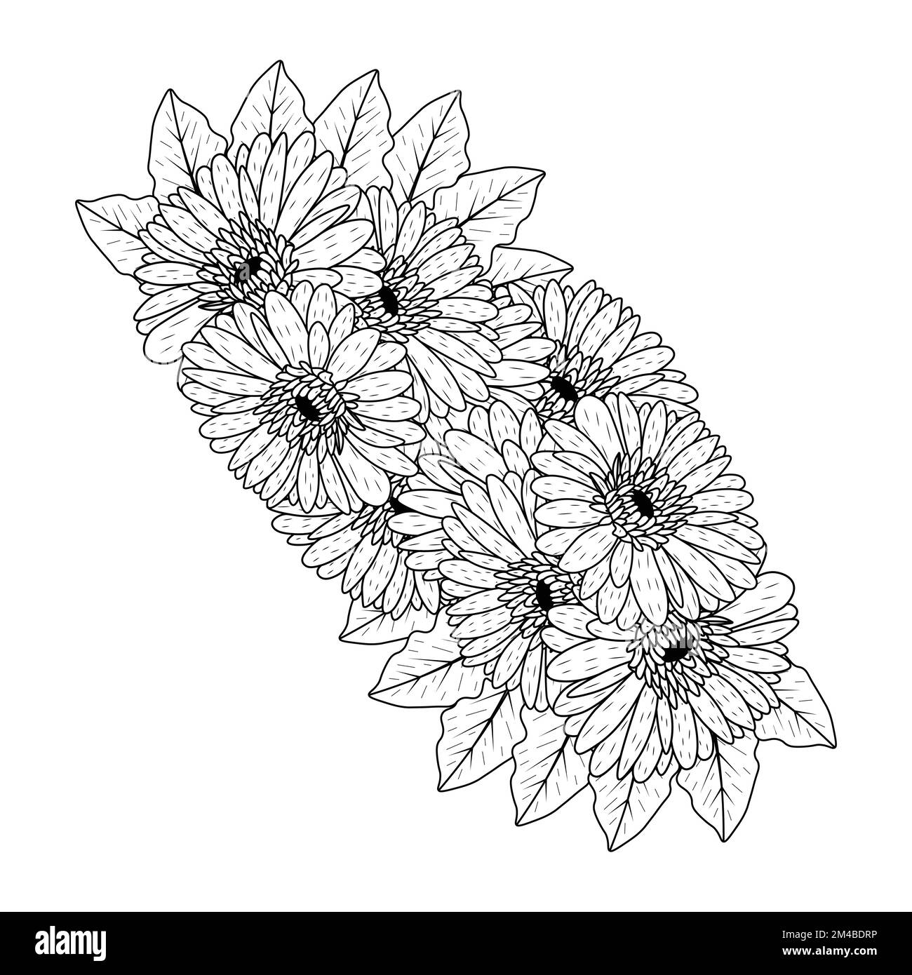 belles fleurs de gerbera marguerite coloriage page dessin détaillé en vecteur graphique de l'art de ligne Illustration de Vecteur