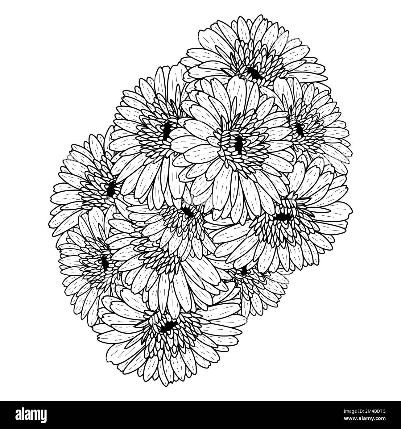 belles fleurs de gerbera marguerite coloriage page dessin détaillé en vecteur graphique de l'art de ligne Illustration de Vecteur